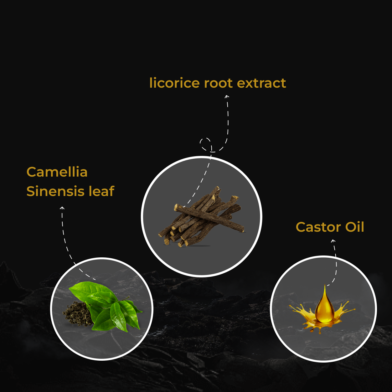 Illustration of natural ingredients in facial toner